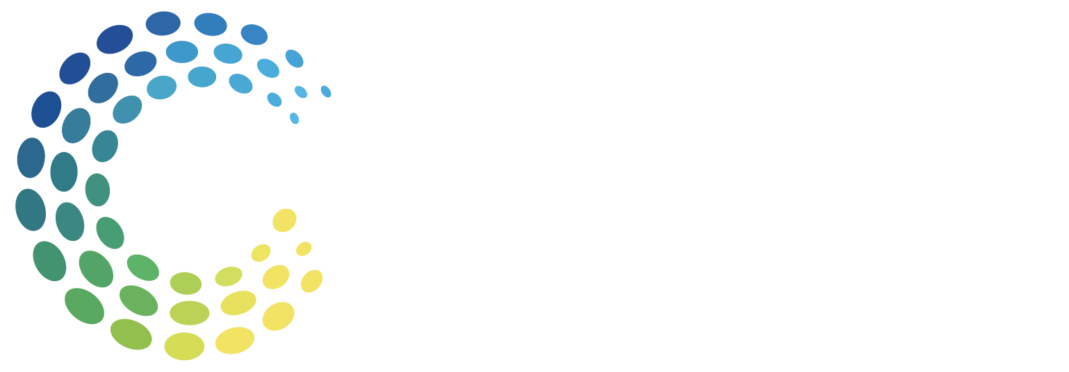 Qualier Internacional